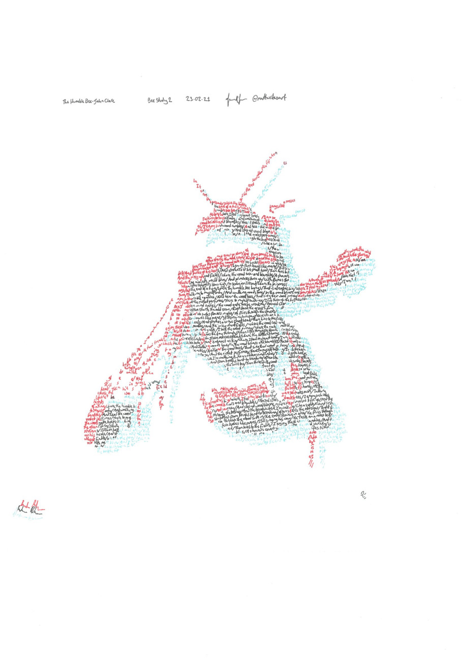 Anaglyph bee study, on the poem 'The Humble Bee', by John Clare (1793-1864)