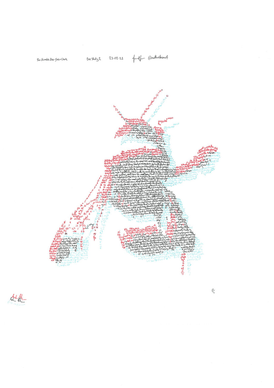 Anaglyph bee study, on the poem 'The Humble Bee', by John Clare (1793-1864)