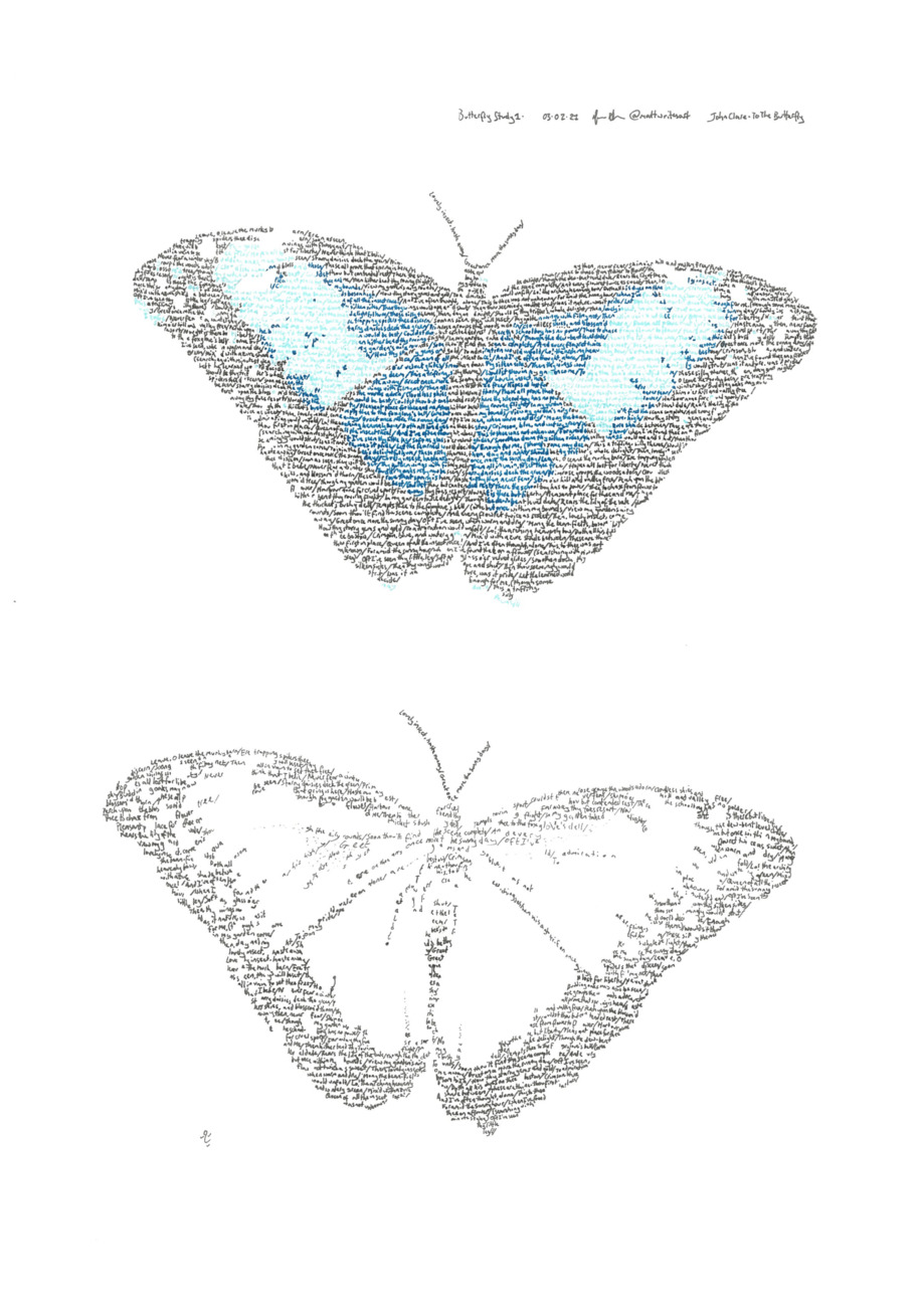 Pair of Blue Morpho butterflies, in colour and monochrome, on the poem 'To The Butterfly', by John Clare (1793-1864)
