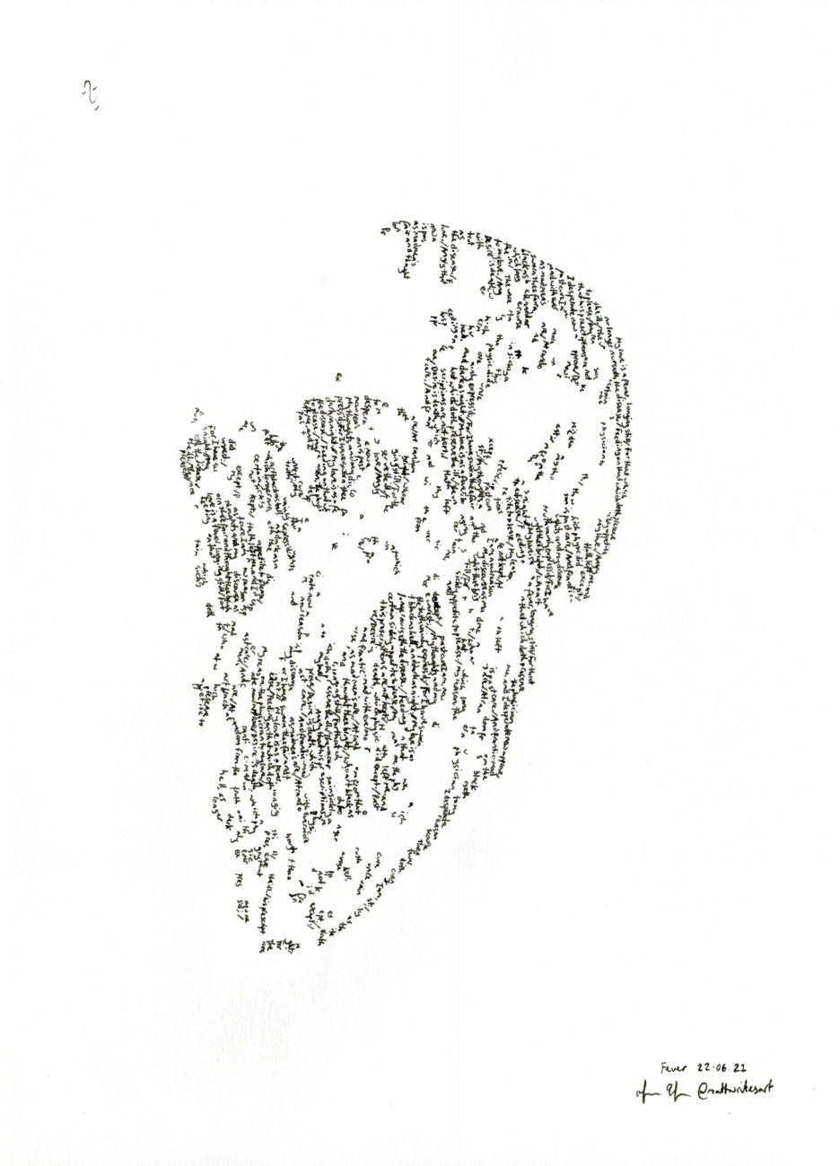 Skull study, on the sonnet 'My love is as a fever, longing still' by William Shakespeare  (1564-1616)